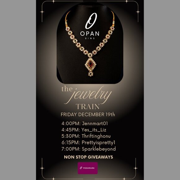 The Opan Bins JEWELRY TRAIN | FRIDAY DECEMBER 19TH - Picture 1 of 4